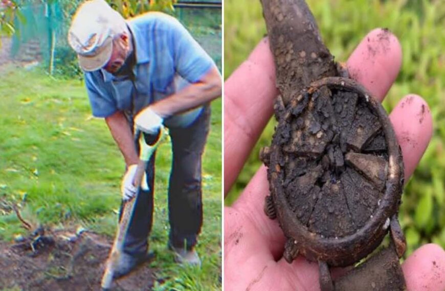 Man Found an Old Watch Buried in His…